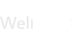 Wellcare Logo